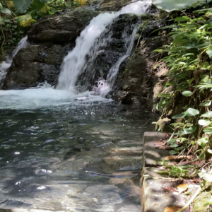 Bassin – Guadeloupe