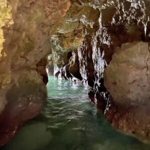 Grotte Secrète en Bord de Mer – Guadeloupe