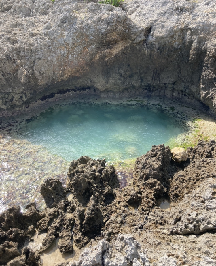 Bassin en Bord de Mer – Guadeloupe