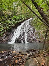 Bassin – Guadeloupe