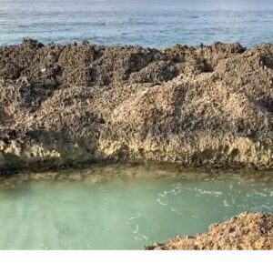 Bassin – Guadeloupe