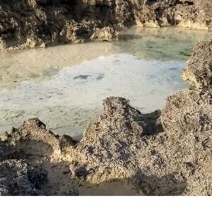 Bassin – Guadeloupe